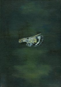 Aile de papillon, 2014 - Bella Larsson